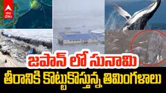 Tsunami Effect in Russia and Japan | జపాన్ లో తీరానికి కొట్టుకొస్తున్న తిమింగళాలు