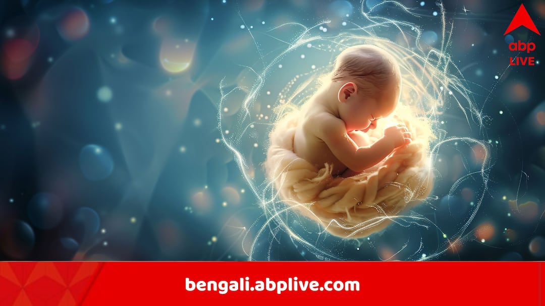 up woman found to have Intrahepatic Ectopic Pregnancy foetus grows in liver instead of uterus know details Health News: জরায়ুতে নয়, যকৃতে বেড়ে উঠছে ভ্রূণ, দিব্যি চলছে শ্বাসপ্রশ্বাস, ধরা পড়ল ১২তম সপ্তাহে, ভারতে এই প্রথম