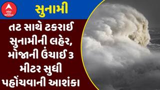 Japan Tsunami : જાપાનના તટ સાથે ટકરાઈ સુનામીની લહેર, મોજાની ઉંચાઈ 3 મીટર સુધી પહોંચવાની આશંકા