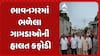 Bhavnagar News : ભાવનગરમાં ભળેલા ગામડાઓની હાલત કફોડી, ચોમાસામાં છવાય છે કાદવનું સામ્રાજ્ય