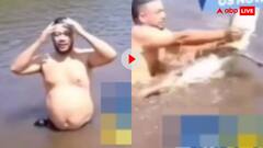 भारी मिस्टेक हो गया सर...पानी में नहा रहे शख्स ने मछली समझ उठा लिया मगरमच्छ- वीडियो वायरल