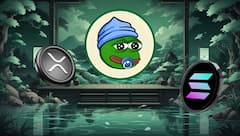 If Solana (SOL) Overtakes Ripple (XRP), Here’s Its Potential Price and the Top Crypto to Buy in 2025