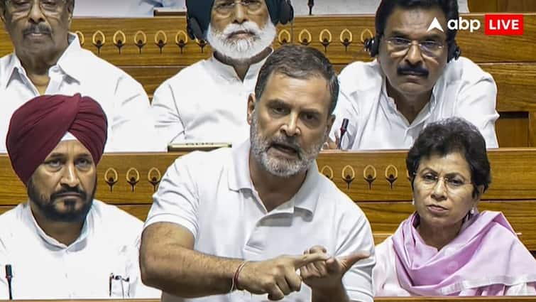 ‘भारत ऐसे प्रधानमंत्री को बर्दाश्त नहीं कर सकता, जिसमें…’, लोकसभा में फायर हुए राहुल गांधी