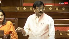 'आपको पंडित नेहरू को धन्यवाद देना चाहिए क्योंकि...', संजय राउत ने संसद में BJP के लिए ऐसा क्यों कहा?