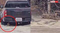 Video: काकाडू नेशनल पार्क में कार के नीचे फंसा विशालकाय मगरमच्छ, वीडियो देख उड़ जाएंगे होश