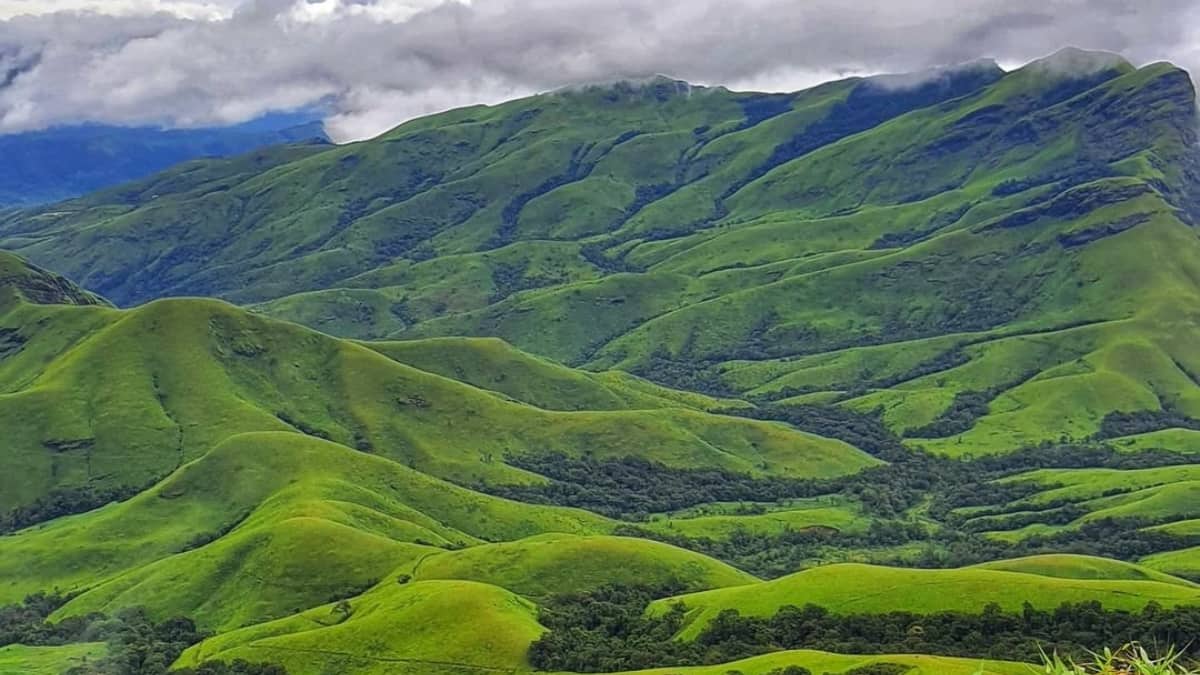 (Image Source: Twitter/@TheWesternGhatz)