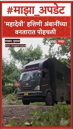Mahadevi Elephant reach at Vantara : महादेवी अंबानींच्या वनतारात पोहचली