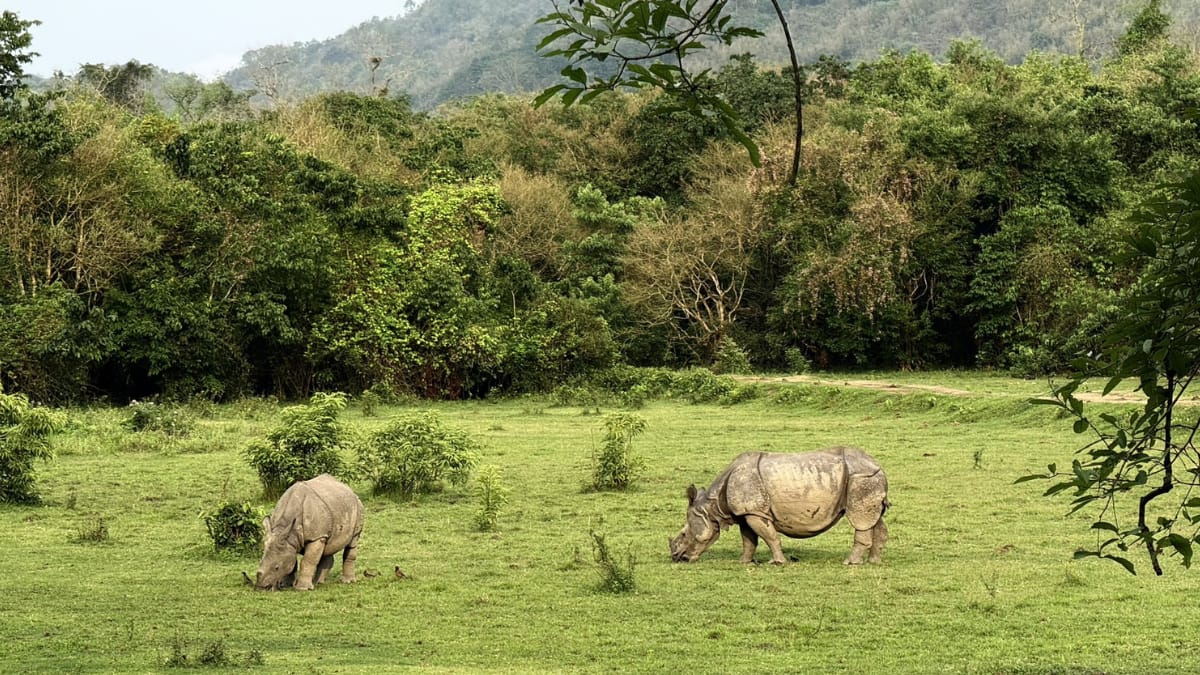 (Image Source: Twitter/@builthistories)