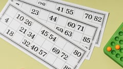 Kerala Lottery Result Today (November 16, 2025) LIVE: SAMRUDHI SM-29 SUNDAY 3 PM Bumper Lucky Draw DECLARED - Winners Out - CHECK FULL LIST