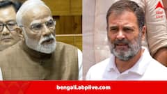 ‘শুধু আদানির স্বার্থ দেখছেন, দেশের অর্থনীতিকে শেষ করে ফেলেছেন’, ট্রাম্পের শুল্ক নিয়ে মোদিকে নিশানা রাহুলের