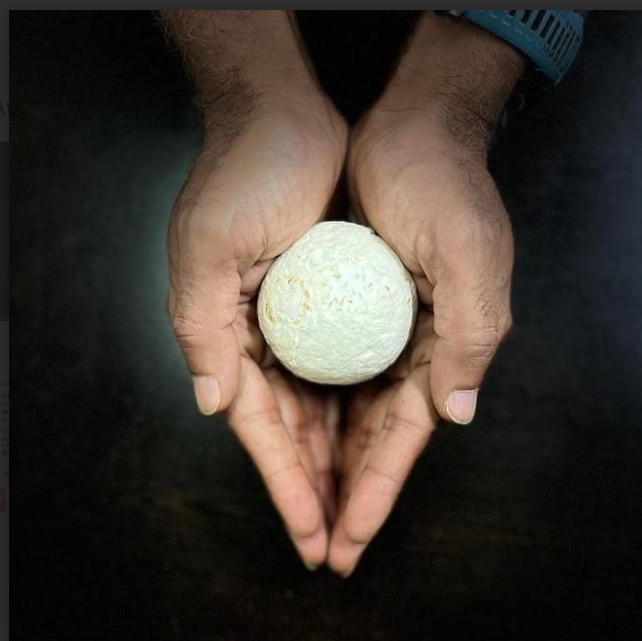 ஒரே கல்லுல 2 மாங்கா; பிளாஸ்டிக் ஒழிப்பு, விவசாய கழிவு அகற்றல்- அசத்தும் ஐஐடி சென்னை!