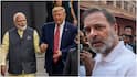 Trump ‘Frustrated’ With India: US Trade Secy As ‘Dead Economy’ Jibe Triggers Political Storm In New Delhi