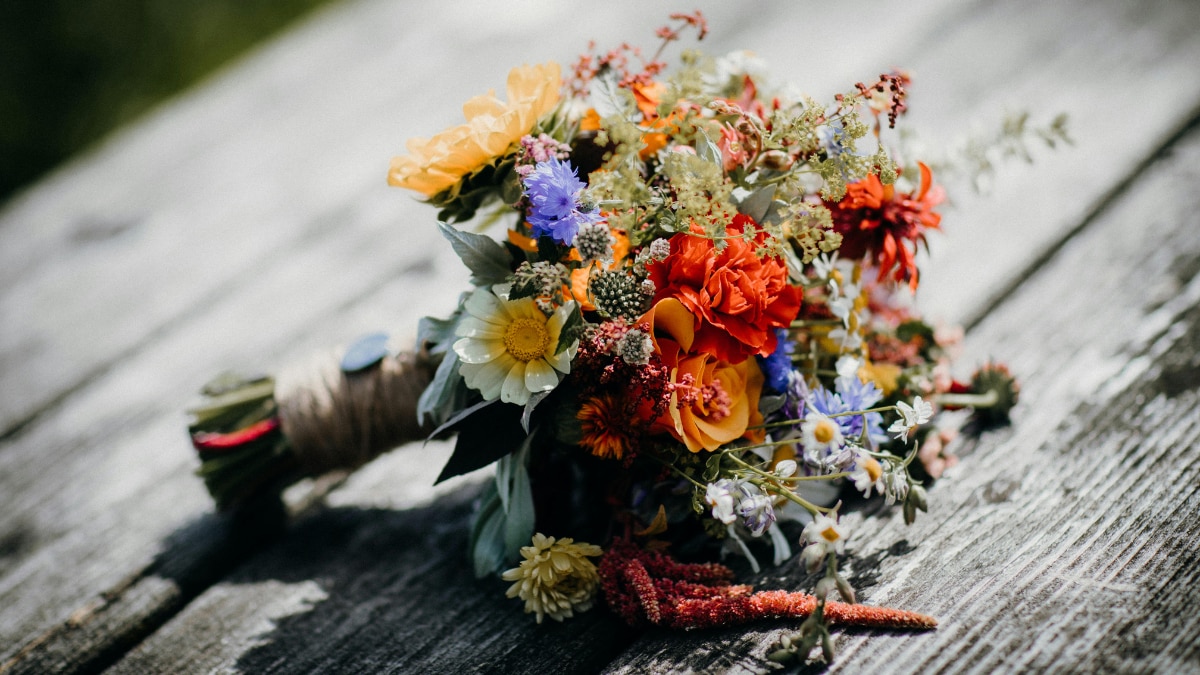 (Image Source: Canva)