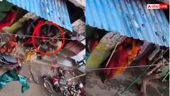 Video: बलिया में धरने पर बैठी महिलाओं पर पुलिस ने भांजी लाठियां, इलाके में तनाव, वीडियो वायरल