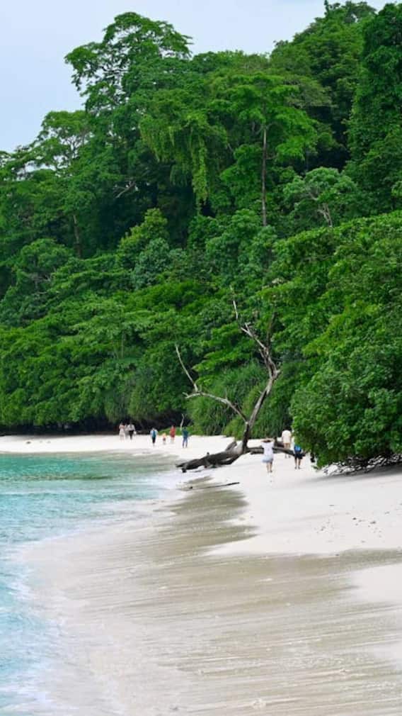 अंडमान निकोबार में किस धर्म के लोग रहते हैं?