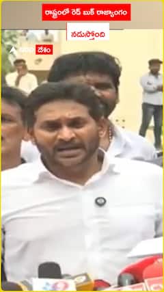 రాష్ట్రంలో రెడ్ బుక్ రాజ్యాంగం నడుస్తోోంది