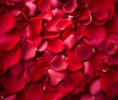 काले होंठ नहीं, गुलाबी मुस्कान चाहिए? अपनाएं ये 6 आसान घरेलू नुस्खे