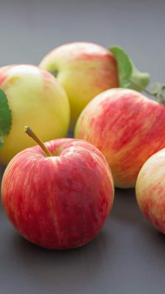 शुगर में सेब खा सकते हैं क्या?