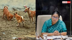 दिल्ली: सड़कों से गायब होंगे आवारा कुत्ते? सरकार की नई रणनीति, CM रेखा गुप्ता ने लिया ये फैसला