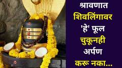 Shravan 2025: श्रावणात शिवलिंगावर 'हे' फूल चुकूनही अर्पण करू नका, महादेवांचा कोप होण्याआधीच सावध व्हा..