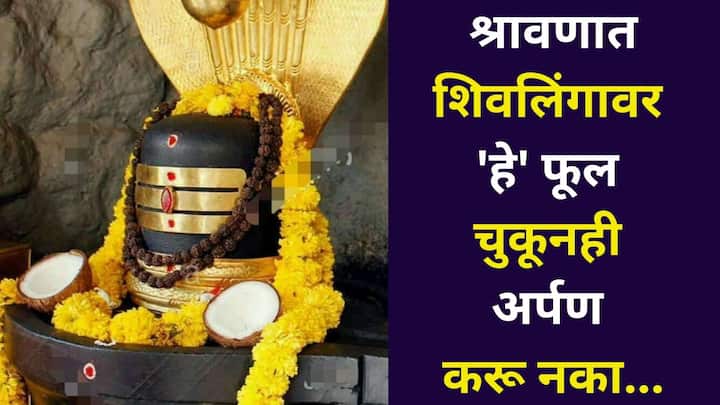 Shravan 2025: भगवान भोलेनाथची पूजा करताना काही फुले अशी आहेत, जी चुकूनही भगवान भोलेनाथला अर्पण करू नयेत, शास्त्रात काय म्हटलंय..