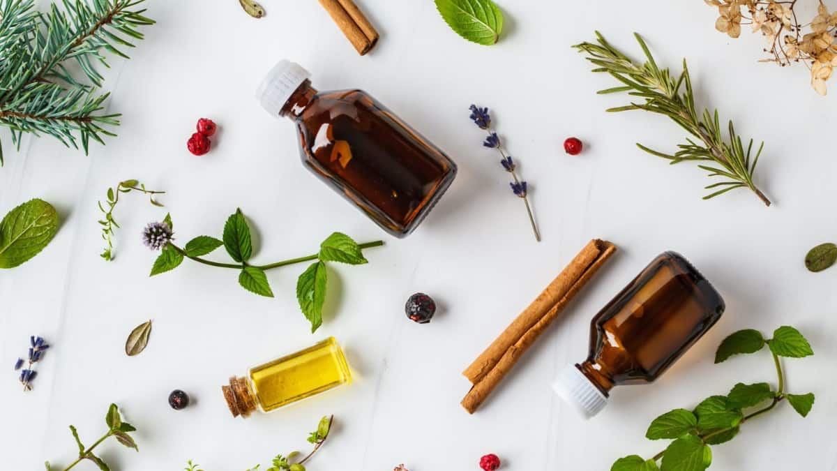 (Image Source: Pinterest/parsnipsblog)