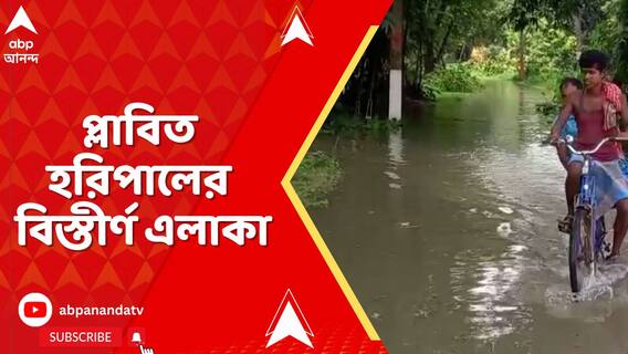 নিম্নচাপের বৃষ্টি ও ডিভিসির ছাড়া জলে প্লাবিত হরিপাল ব্লকের বিস্তীর্ণ এলাকা