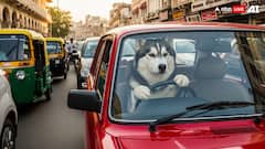 'Dogesh Bro' In Car Driver's Seat Blocks Mumbai Traffic In Lokhandwala, Sparks Meme Fest: Video