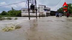 WB Flood Situation: টানা বৃষ্টির জের; দক্ষিণের জেলাগুলিতে জলযন্ত্রণা, ব্যাহত জনজীবন