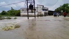WB Flood Situation: টানা বৃষ্টির জের; দক্ষিণের জেলাগুলিতে জলযন্ত্রণা, ব্যাহত জনজীবন