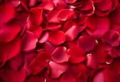 ਜੇ ਤੁਸੀਂ ਕਾਲੇ ਬੁੱਲ੍ਹਾਂ ਦੀ ਬਜਾਏ ਚਾਹੁੰਦੇ ਹੋ ਗੁਲਾਬੀ ਮੁਸਕਰਾਹਟ ਤਾਂ ਅਪਣਾਓ ਇਹ ਤਰੀਕਾ !