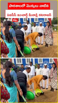 AICC in-charge Meenakshi Natarajan plants saplings in school