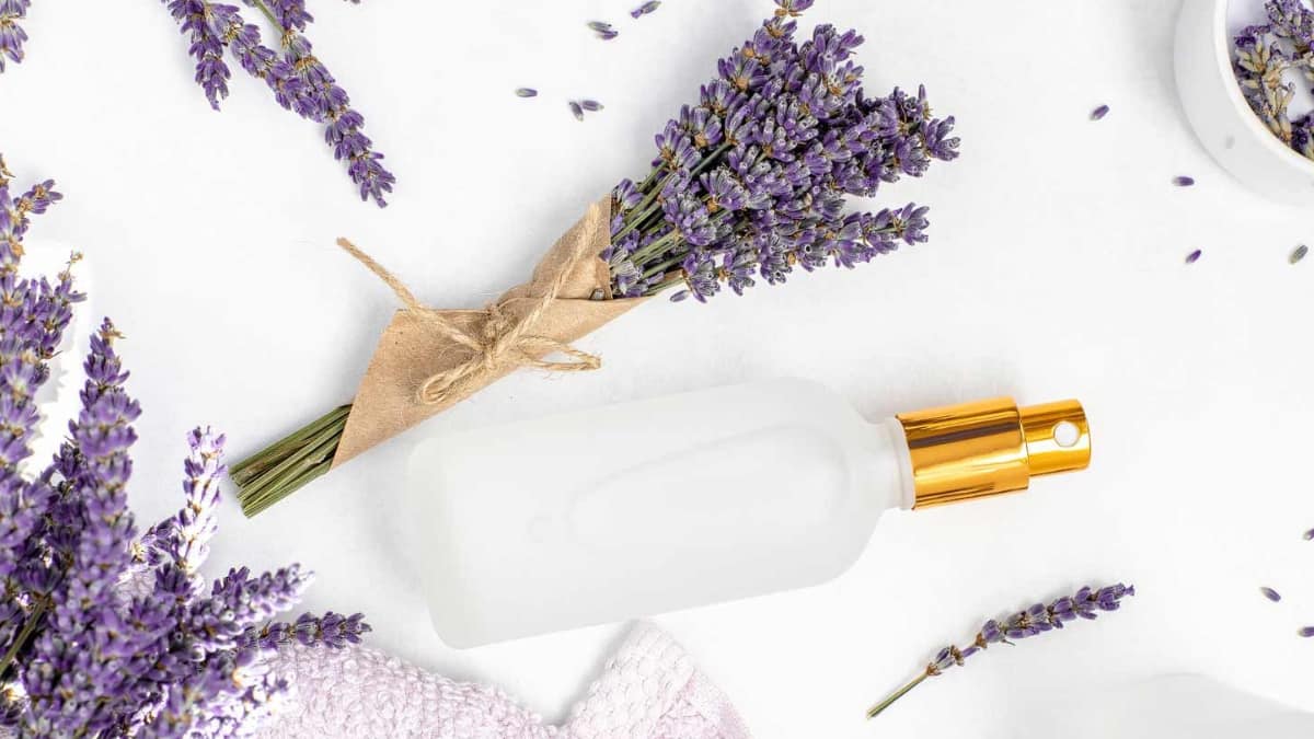 (Image Source: Pinterest/alifeadjacent)