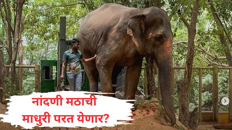 नांदणी मठाची 'माधुरी' परत येणार? वनताराचे CEO म्हणाले, कोल्हापूरकरांना सर्व सहकार्य करणार Madhuri mahadevi elephant vantara ceo meet Nandani Math mathadipati and ready to provide all support kolhapur news नांदणी मठाची 'माधुरी' परत येणार? वनताराचे CEO म्हणाले, कोल्हापूरकरांना सर्व सहकार्य करणार