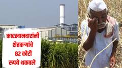 सोलापुरातील कारखानदारांनी शेतकऱ्यांचे 82 कोटी रुपये थकवले, फौजदारी कारवाई करण्याची मागणी, कोणाकडे किती थकबाकी?