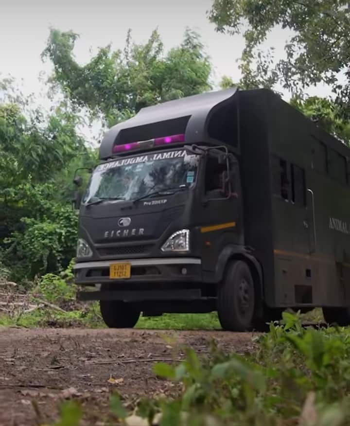 Madhuri Elephant Kolhapur: कोल्हापूरच्या नांदणी मठातील महादेवी (माधुरी) हत्तीणीला (Madhuri Elephant Kolhapur) गुजरातच्या वनतारामध्ये (Vantara Elephant) सोपवण्यात आले.