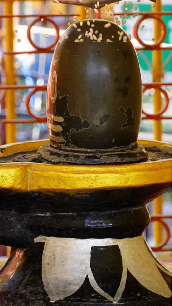 সোমবারই এই ৫ রাশির সোনার সময়, মহাদেবের আশীর্বাদে আজই বিরাট প্রাপ্তি