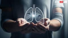 World Lung Cancer Day 2025 — Air Pollution Is Now As Dangerous As Smoking