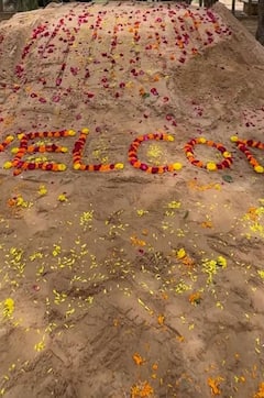 Madhuri Elephant Kolhapur: महादेवी हत्तीणीचं जंगी स्वागत; अंबनींच्या वनतारामध्ये पोहचताच काय केलं?, Photo's