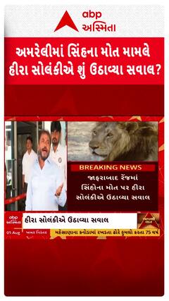 Amreli Lion Death News: અમરેલીમાં સિંહના મોત મામલે ધારાસભ્ય હીરા સોલંકીએ શું ઉઠાવ્યા સવાલ?