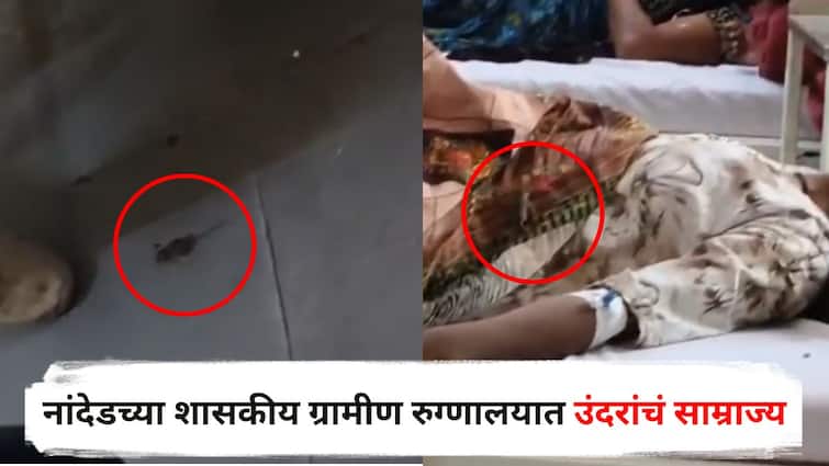 Nanded News : धक्कादायक! नांदेडच्या शासकीय ग्रामीण रुग्णालयात उंदरांचं साम्राज्य, चक्क महिला रुग्णाच्या अंगावर खेळतोय उंदीर; आरोग्य व्यवस्थेचे तीनतेरा Nanded government rural hospital Rats playing on female patient body Maharashtra Marathi News Nanded News : धक्कादायक! नांदेडच्या शासकीय ग्रामीण रुग्णालयात उंदरांचं साम्राज्य, चक्क महिला रुग्णाच्या अंगावर खेळतोय उंदीर; आरोग्य व्यवस्थेचे तीनतेरा