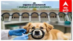 மதுரை மாநகராட்சியில் தெருநாய்கள் தொல்லை: ரேபிஸ் தடுப்பூசி முகாம் எப்போ, எங்கே? முழு விவரம்
