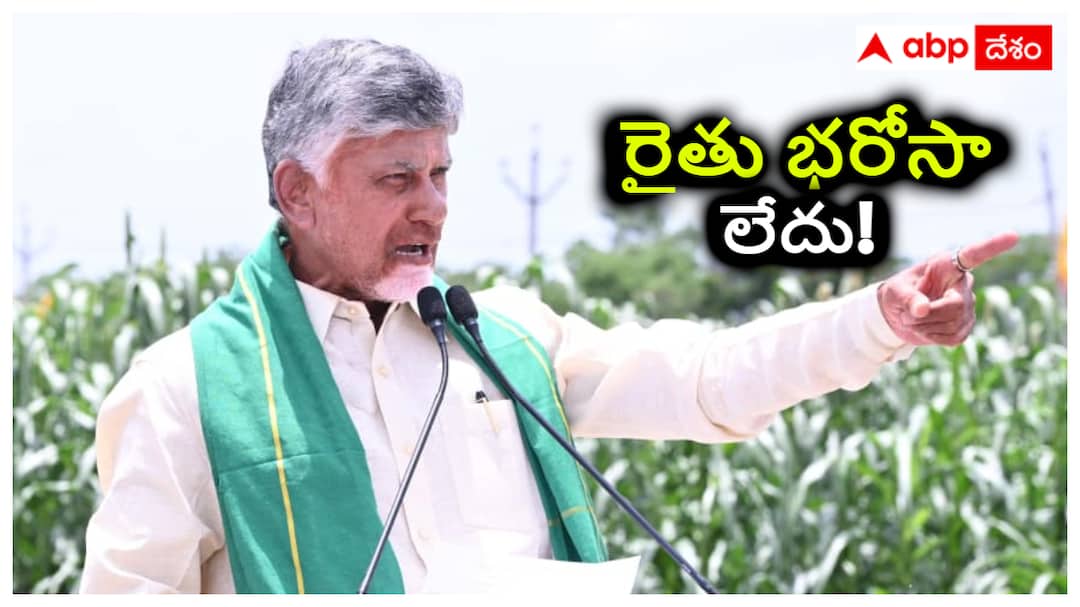 As long as Chandranna exists there is no security for the farmer This is my promise AP CM Chandrababu speech goes viral Viral Video: చంద్రబాబు రైతులకు 'భరోసా' లేదన్నారా? వైసీపీ ట్రోల్స్, టీడీపీ కౌంటర్లతో పొలిటికల్ హీట్!
