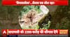 Himachal on Edge: Rain Fury Causes Flash Floods, Road Closures, and Casualties | ABP NEWS