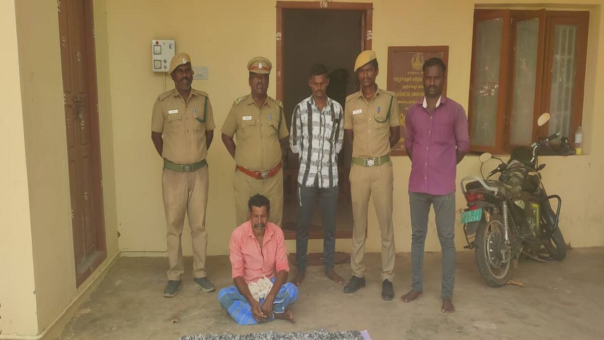 383 கடல் அட்டைகளை மறைத்து வைத்திருந்தவர்... தட்டித் தூக்கிய வனத்துறையினர்