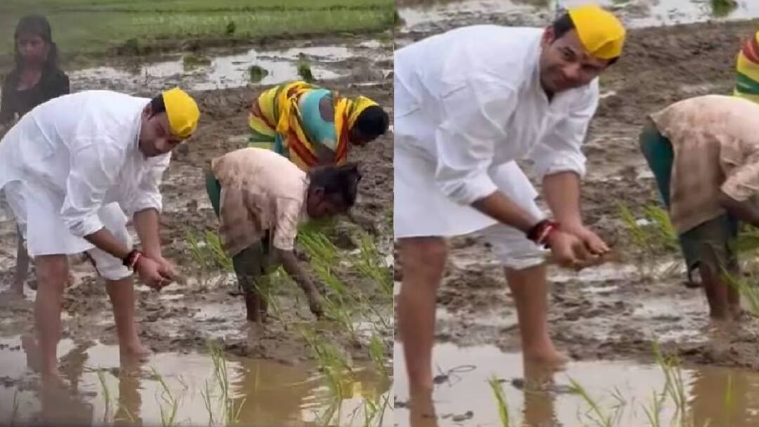 bihar Former RJD minister Tej Pratap Yadav planting paddy in the field at bhojpur Tej Pratap Yadav: आरजेडी के पूर्व मंत्री तेज प्रताप का दिखा अलग अंदाज, धान के खेत में रोपनी करने उतर गए लालू के लाल