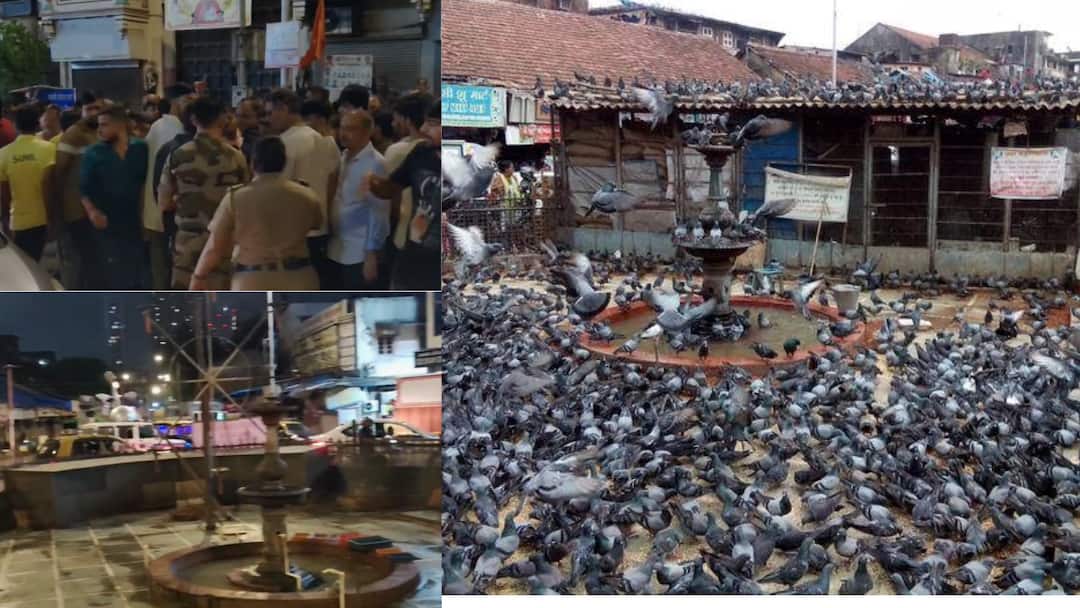 Mumbai Dadar Kabutar khana: कबुतरखाना हटवण्यासाठी मध्यरात्री पालिकेचं पथक आलं, पण जमावाने रोखलं; मुंबईतील दादरमध्ये नेमकं काय घडलं? Mumbai Dadar Kabutar khana BMC team came to demolish structure but crowd oppose Mumbai Dadar Kabutar khana: कबुतरखाना हटवण्यासाठी मध्यरात्री पालिकेचं पथक आलं, पण जमावाने रोखलं; मुंबईतील दादरमध्ये नेमकं काय घडलं?