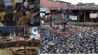 Mumbai Dadar Kabutar khana: कबुतरखाना हटवण्यासाठी मध्यरात्री पालिकेचं पथक आलं, पण जमावाने रोखलं; मुंबईतील दादरमध्ये नेमकं काय घडलं?