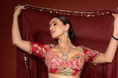 Actress Anshu: బ్యూటిఫుల్ లుక్‌లో మన్మథుడు హీరోయిన్ - అందాల అన్షు చూపులతోనే కట్టిపడేస్తుందిగా...