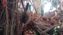 Kolkata News: āĻĢā§āϰ āĻŦāĻžā§āĻŋ āĻāĻžāĻāϞ āĻāϞāĻāĻžāϤāĻžā§, āĻāĻŦāĻžāϰ āĻŽāĻžāύāĻŋāĻāϤāϞāĻž, āĻāĻšāϤ ⧍ āĻļāĻŋāĻļā§